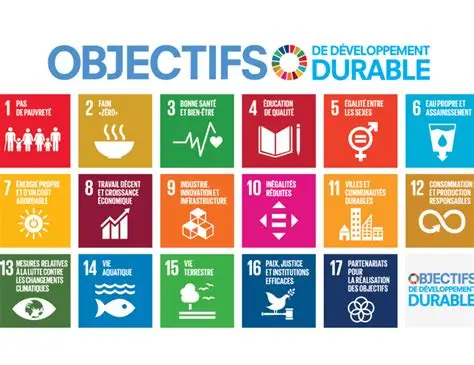Protégé : Objectifs de Développement Durable